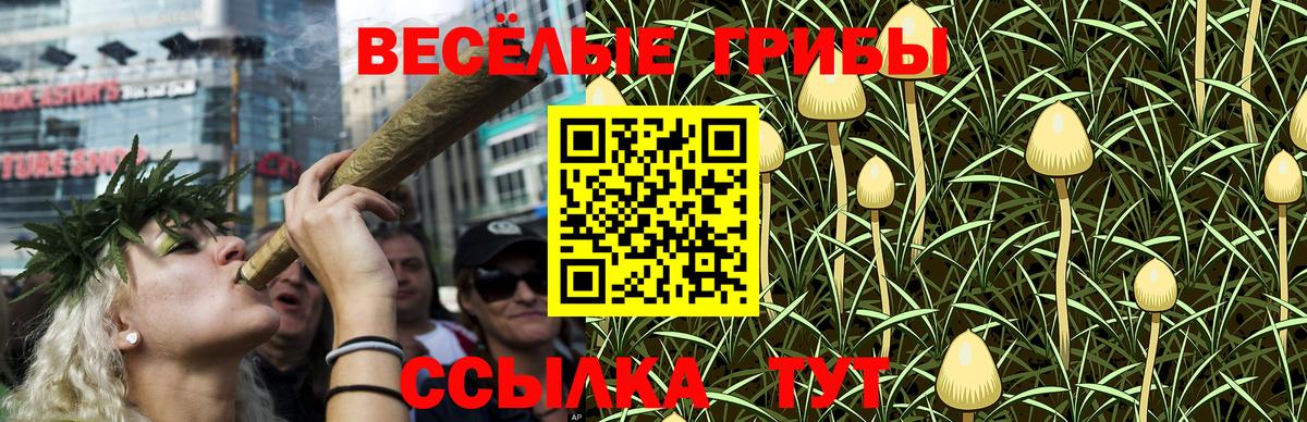 Владимир  Галлюциногенные грибы Cubensis  Вход с VPN 